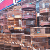 China Bird Cages Market