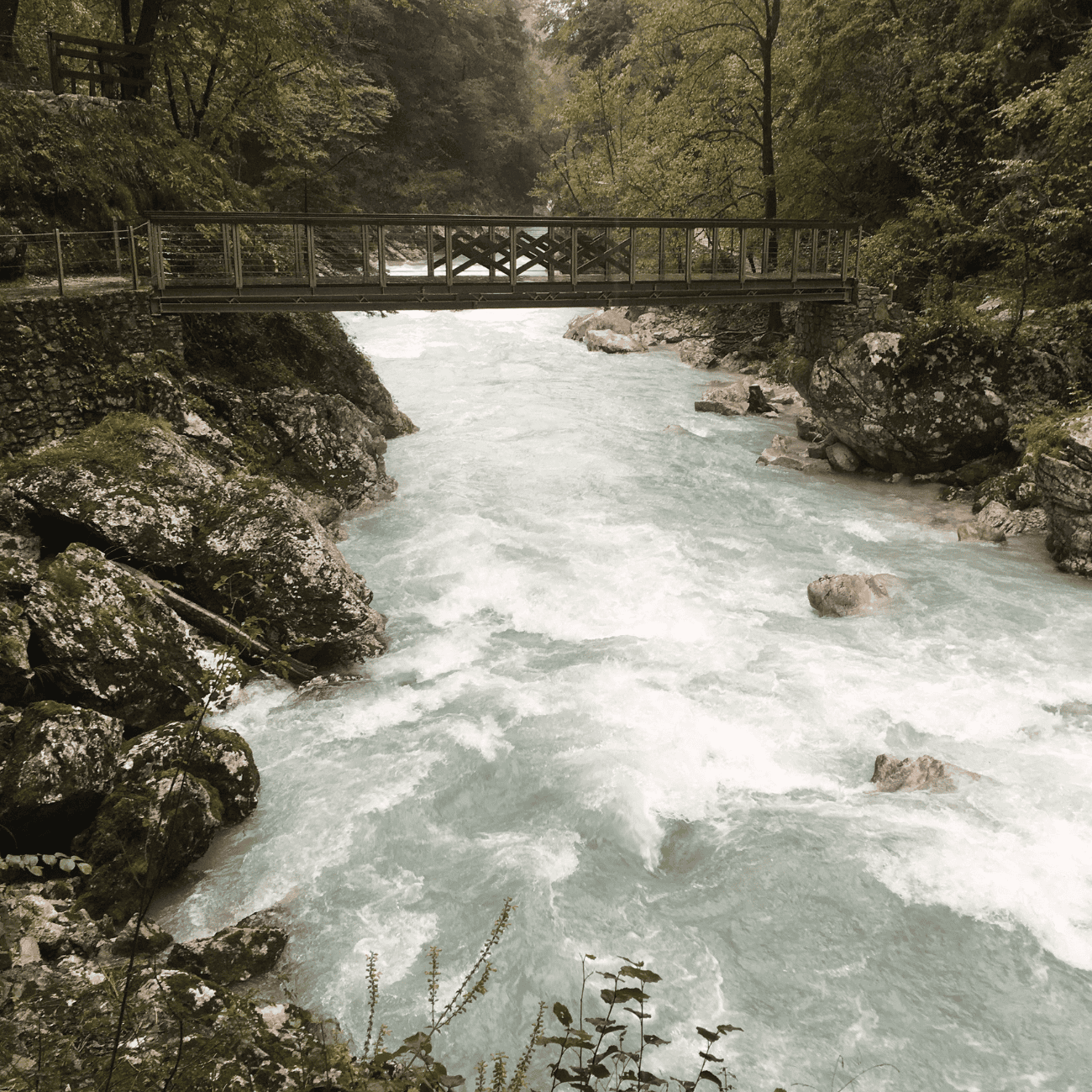 Slovenia 🇸🇮 mountain biking experience