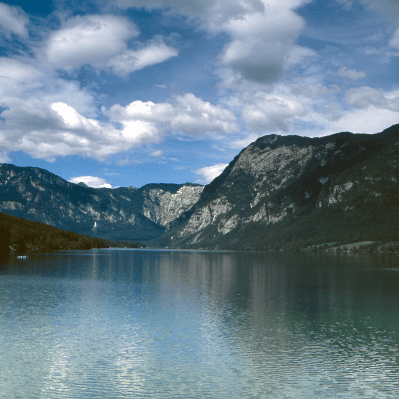 Lake Bohinj Slovenia