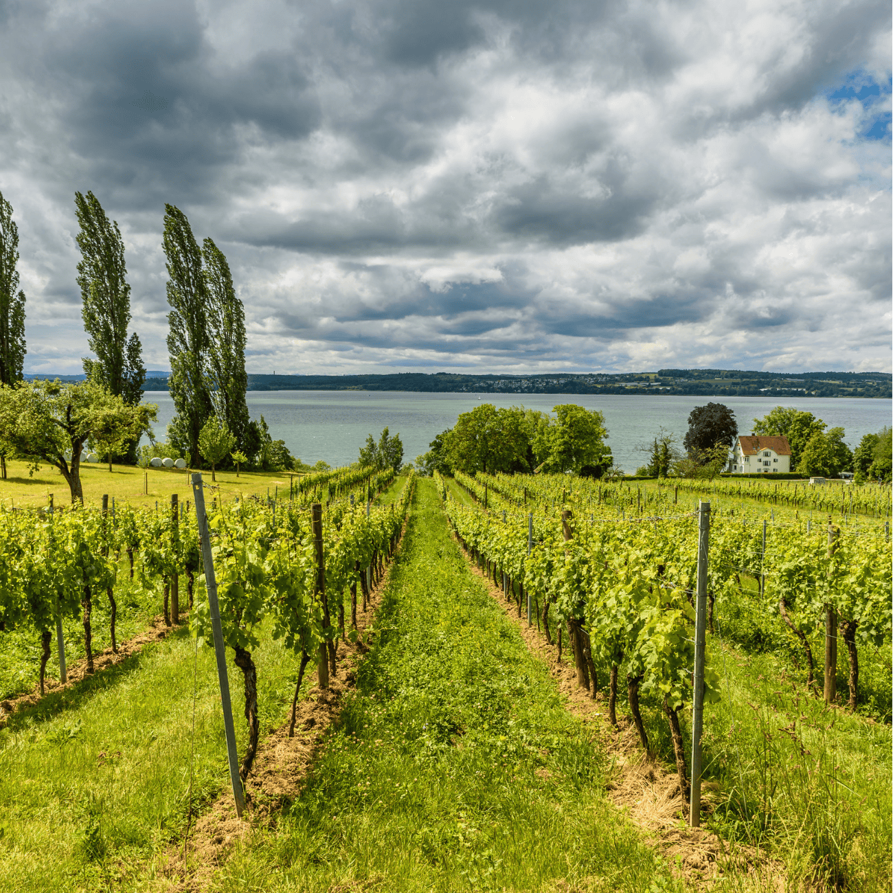 Bodensee