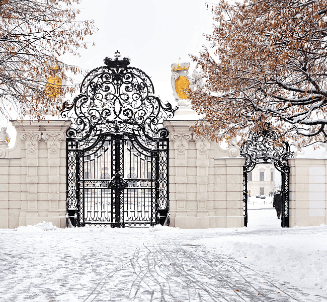 Viennese Winter Snow