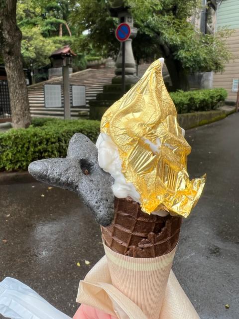 Japan Cone