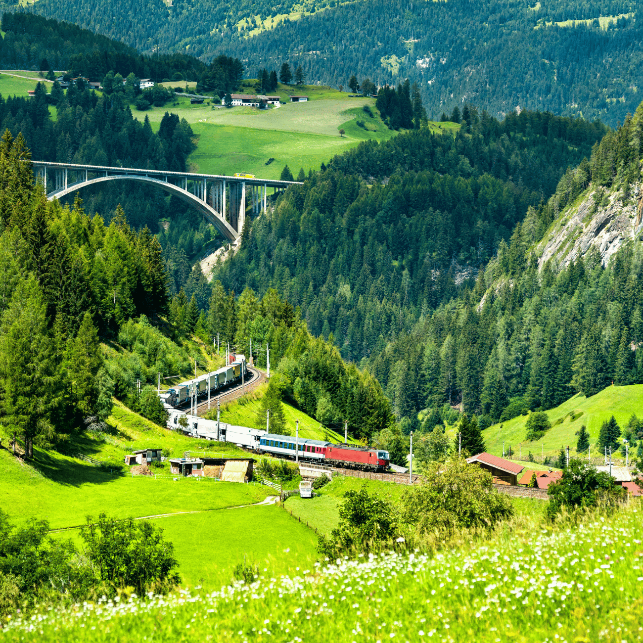 Train through the Alps