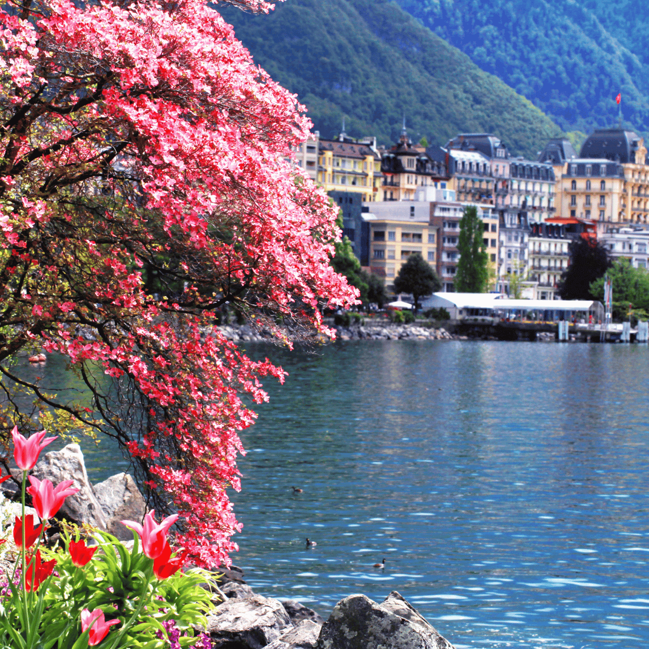 Walking Around Geneva Lake