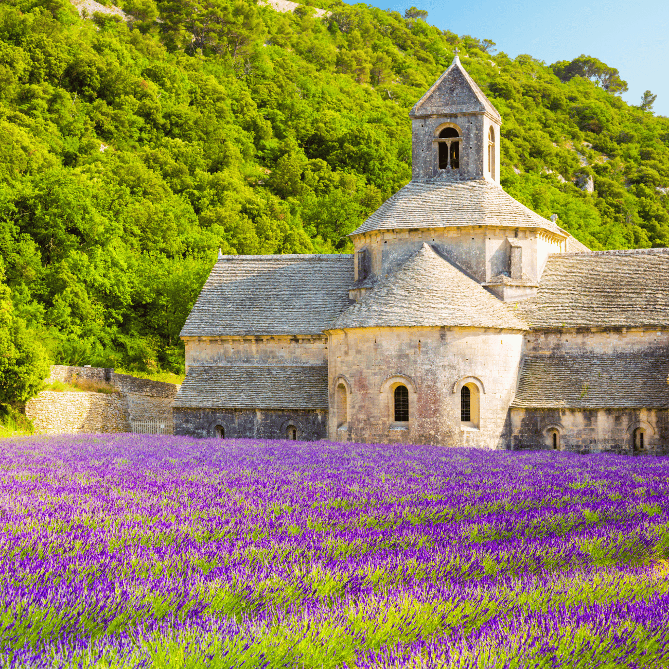 Saint-Rémy-de-Provence