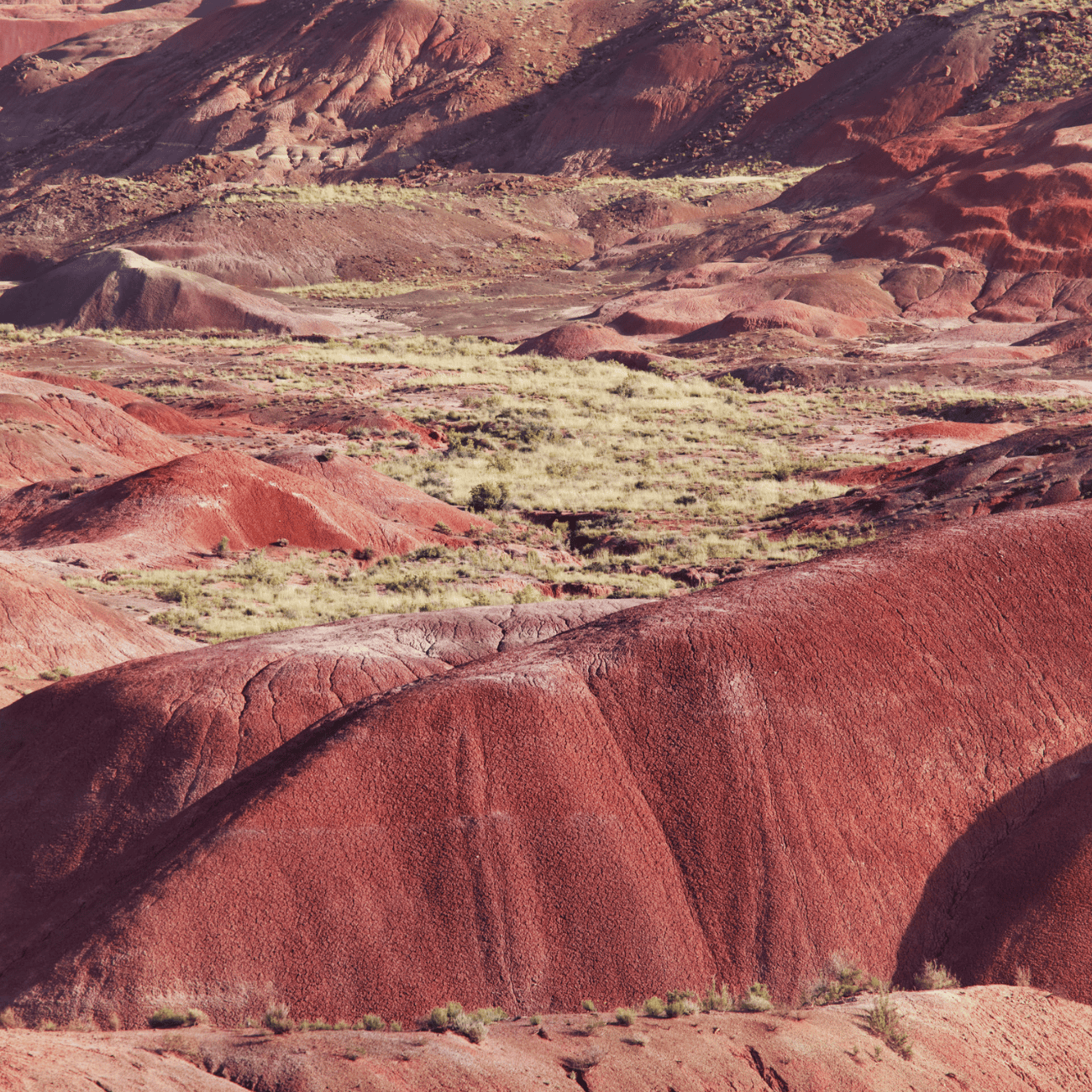 Beautiful Badlands