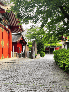 Shrine Visit Tokyo