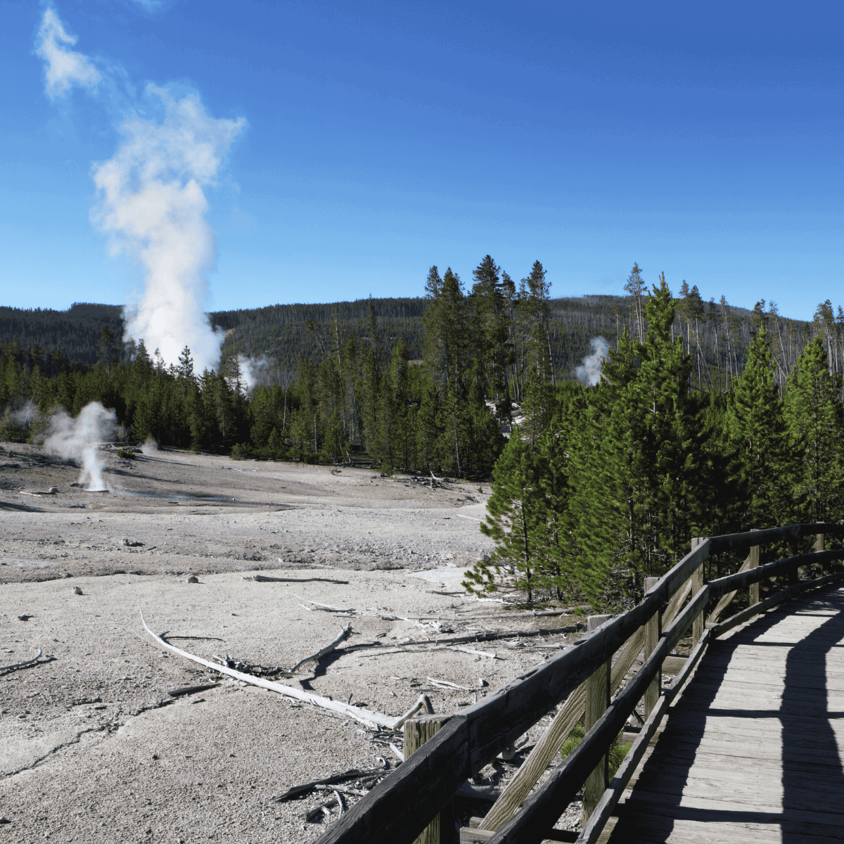 Geyser