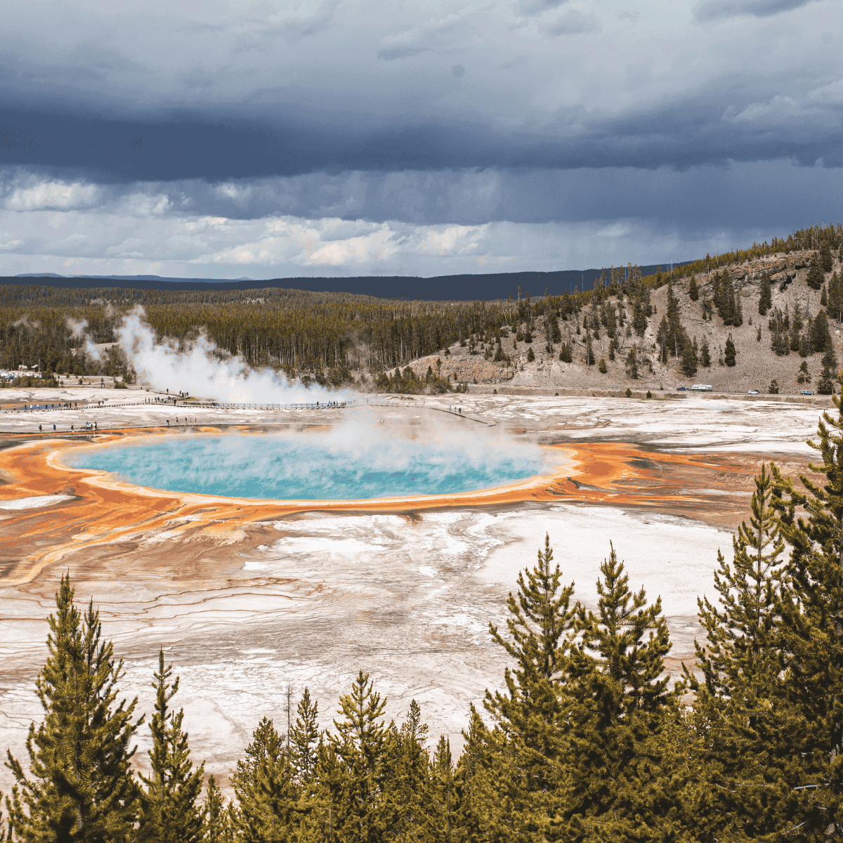 At Yellowstone National Park